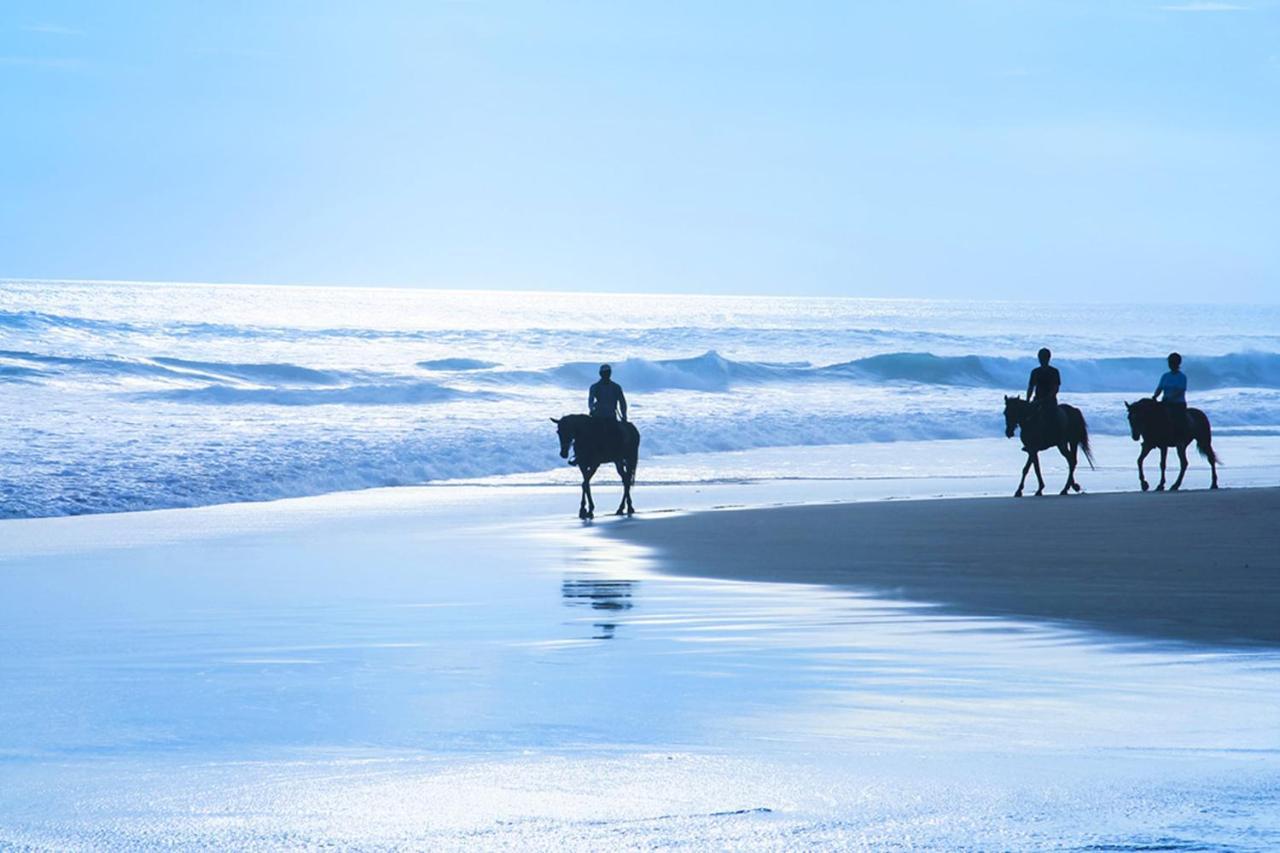 Stunning Oceanview Coastal Home Beach Trails Family Activities Montara Bagian luar foto
